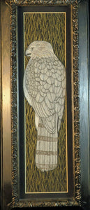 Sharp Shinned Hawk original illustration framed