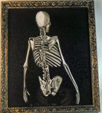 Skeleton Torso and skull framed print
