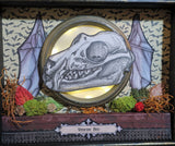 Vampire Bat