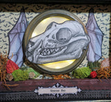 Vampire Bat