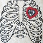 Ribs and Heart